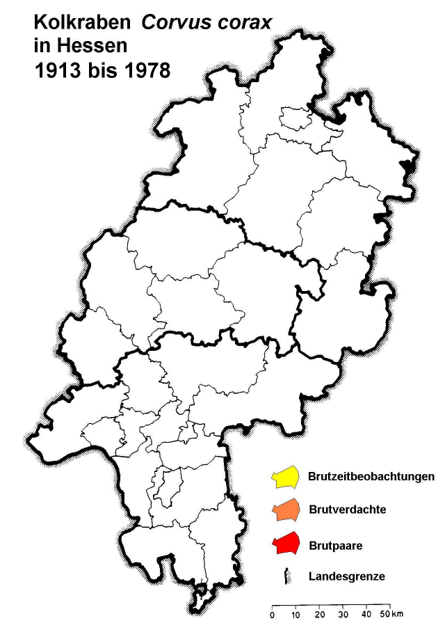 1913_78.gif (57442 bytes)